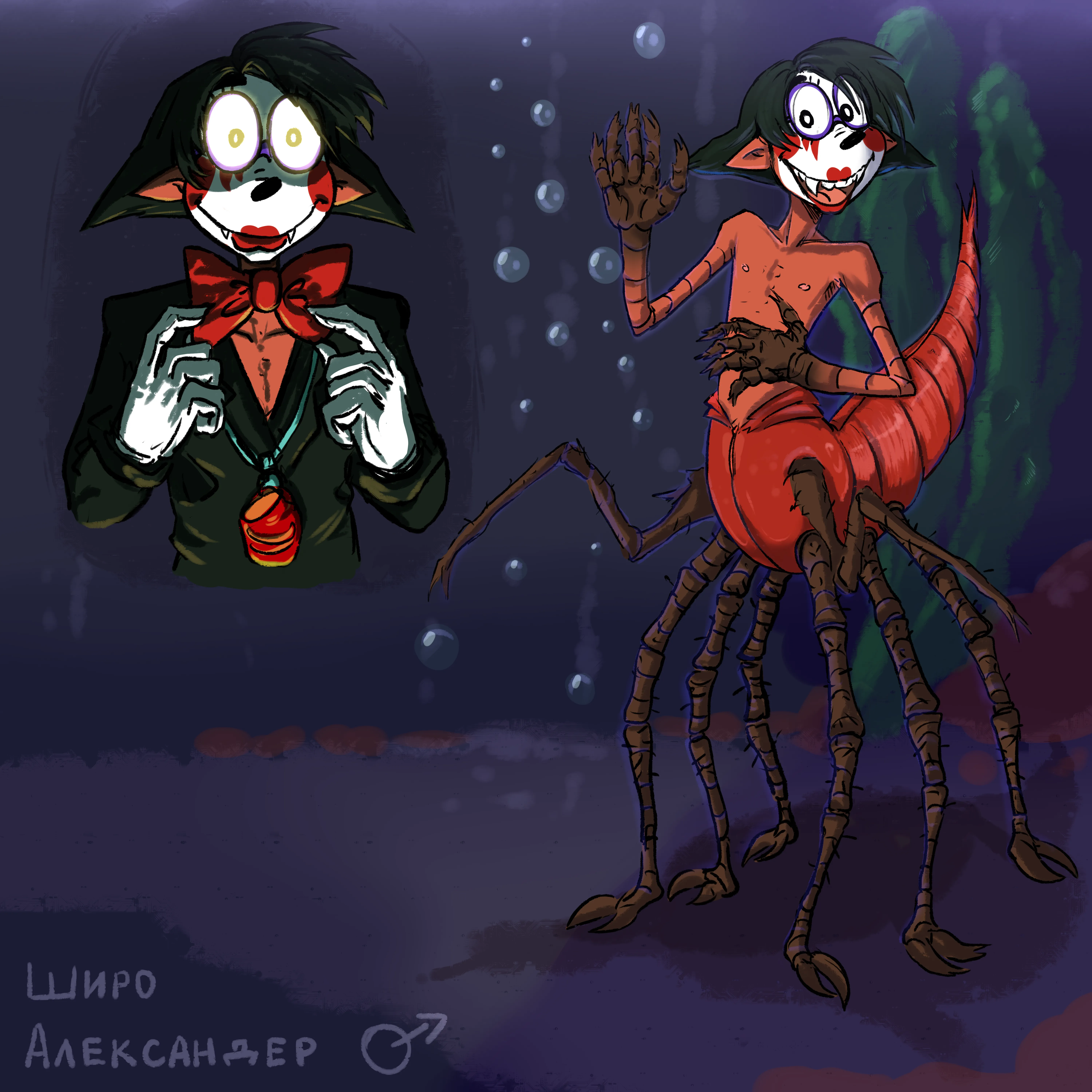 Широ референс